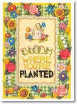 bloom where you.re planted