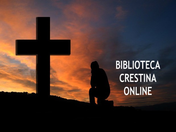 Întoarcerea din oglindă – de Marius David&nbsp;Cruceru