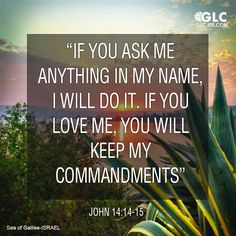 c6353ba515dd114cd60d871d9fefaeac