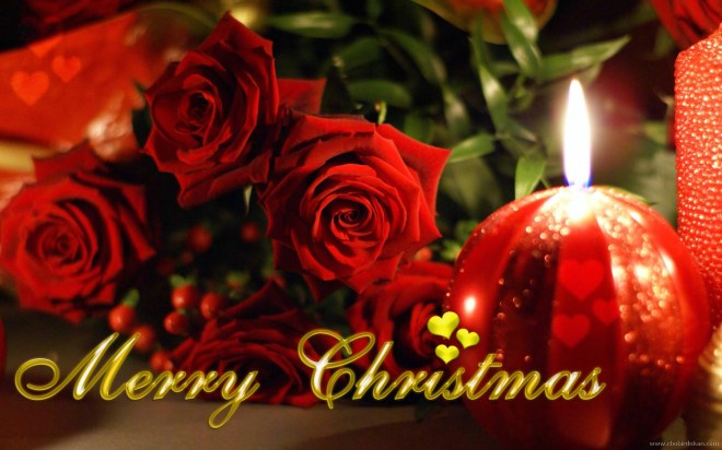 merry-christmas-flower-wallpaper
