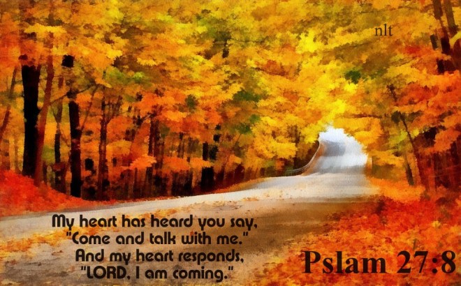 9715890594_35b9c2db37_b